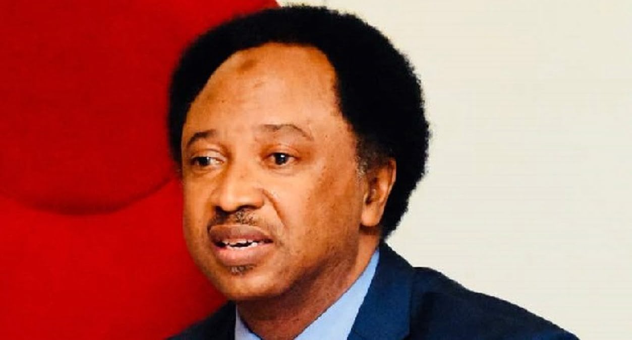 Shehu Sani blames state lawmakers as outgoing governors ‘divert funds’