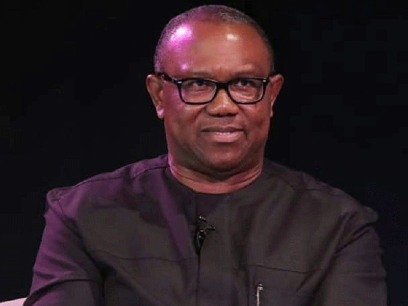 Yar’Adua: He believed in true governance, transparency, accountability – Peter Obi