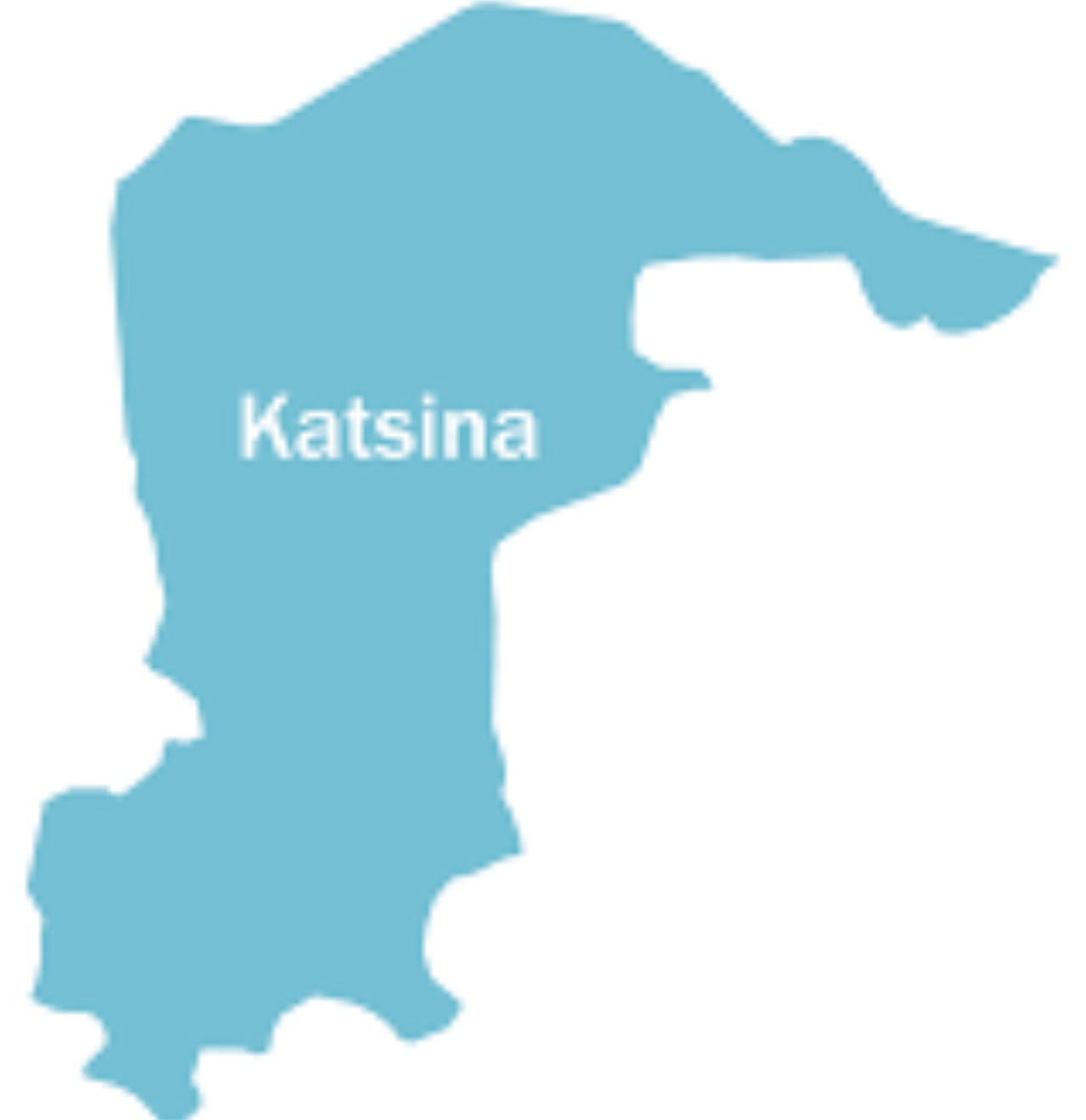 Sallah: Katsina govt shuts down schools for 7 days