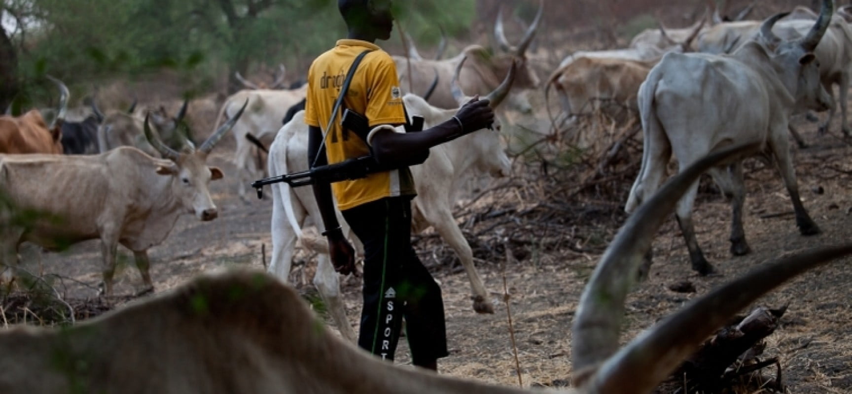 Suspected herdsmen slaughter Ohaneze Ndigbo youth leader’s father, one other in Ebonyi