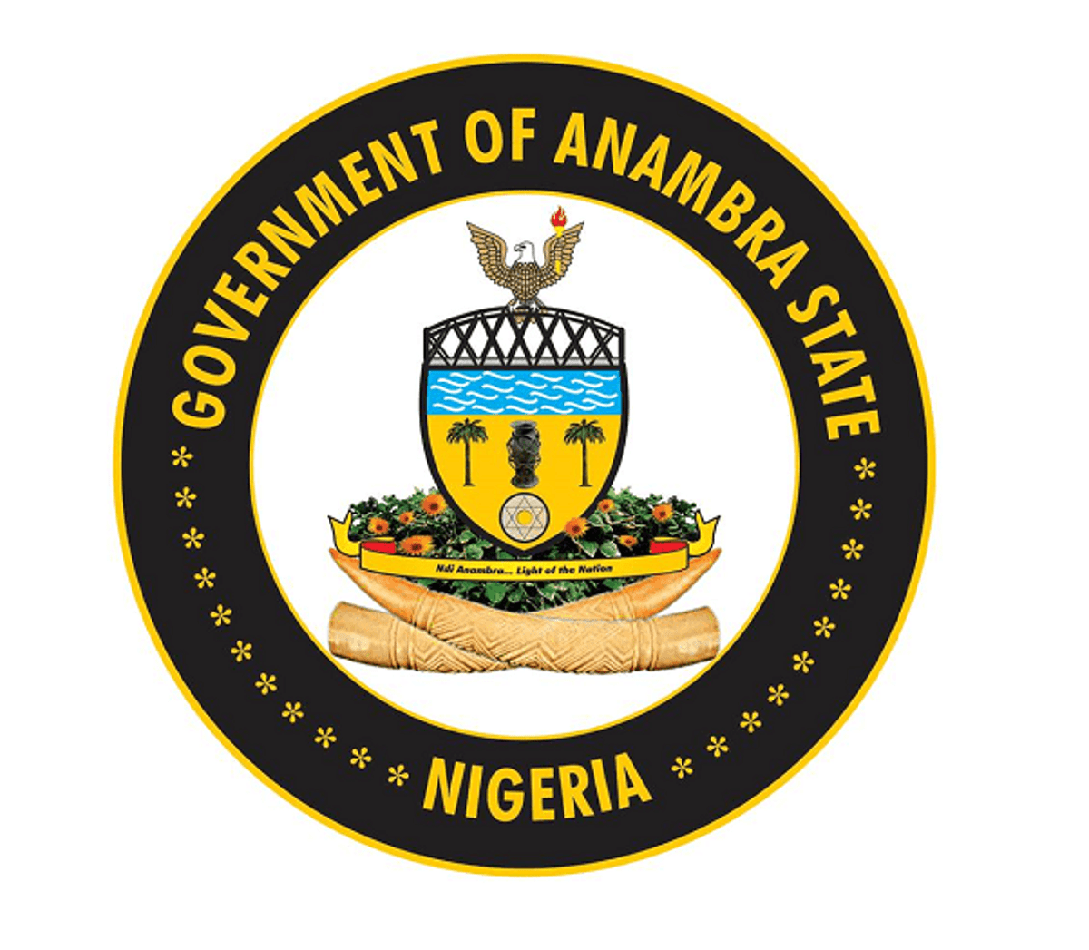 Anambra govt arrests woman for using sick child to beg for alms