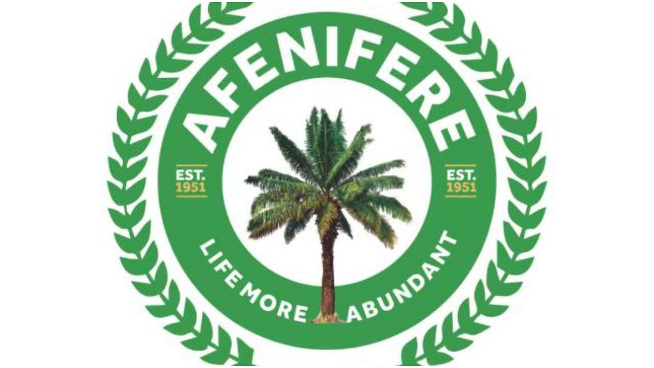 Coup: Afenifere cautions ECOWAS on military intervention in Niger