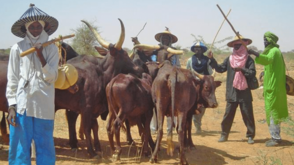 Coup: Review your military threat, sanctions against Niger ‐ Fulani group tells ECOWAS