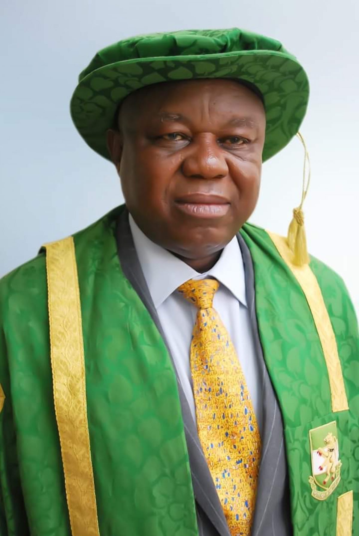 Nigeria still ranks low on sustainable development indices – UNN VC