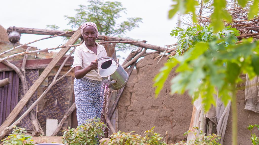 USAID provides access to water for 55, 000 farmers, herders in Adamawa, Borno, Yobe