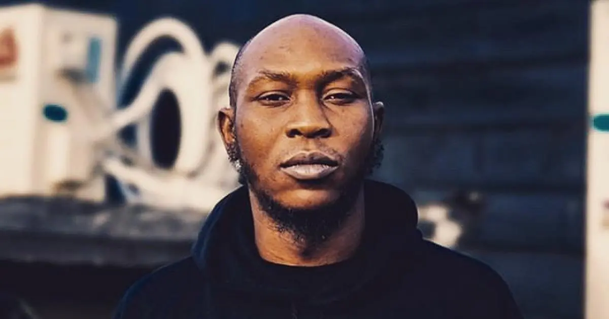 Nigeria not ripe for arms legalisation – Seun Kuti